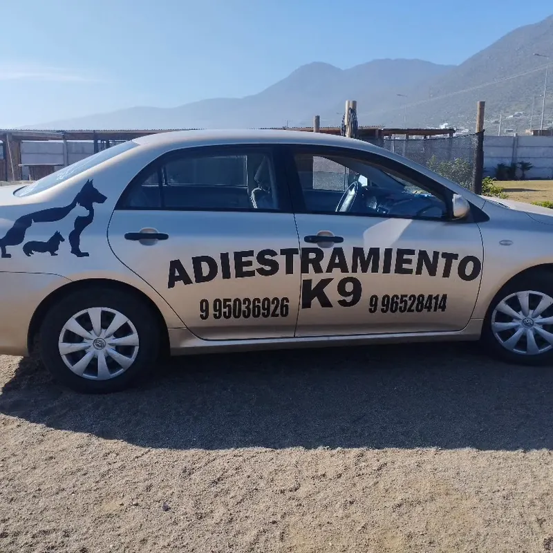 Auto de Adiestramiento K9 con los teléfonos de contacto